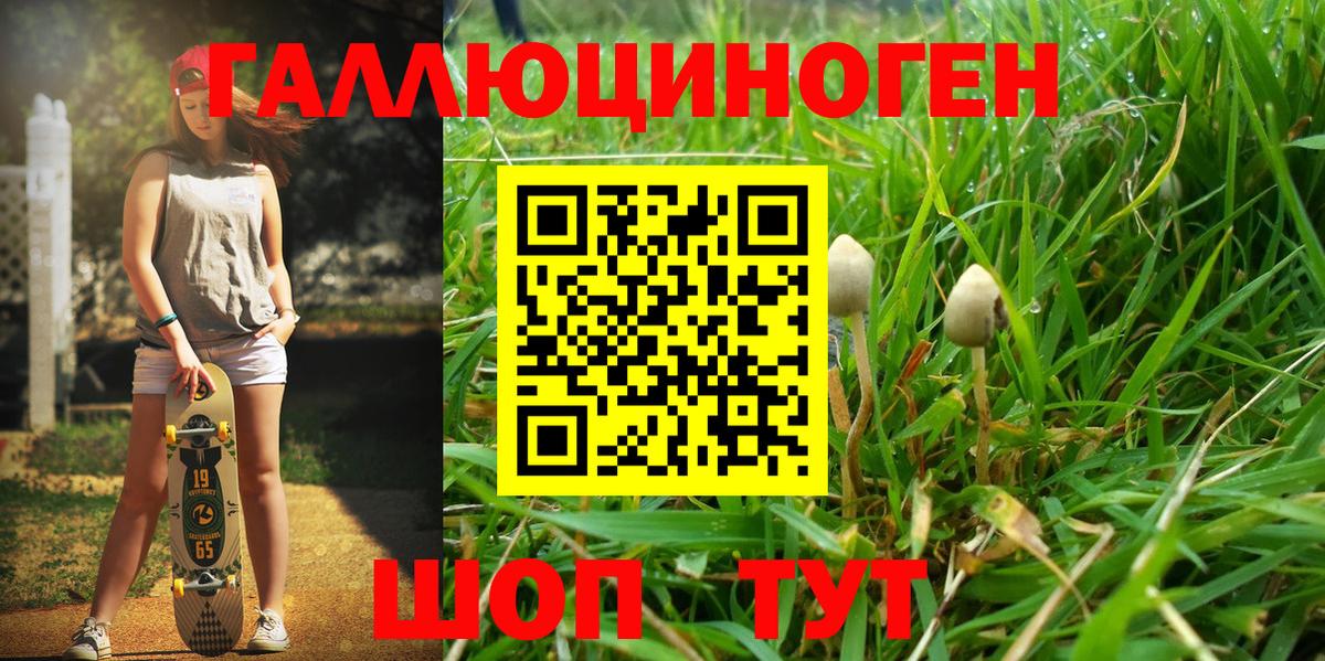 Псилоцибиновые грибы Magic Shrooms Шали
